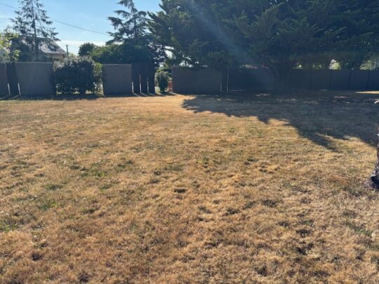 Chemille En Anjou -  TERRAIN DANS UN QUARTIER RESIDENTIEL A CHEMILLE